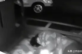 2020年江苏男子杀妻后自首，验尸时妻子竟然复活，警方如何判？图片