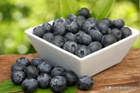 揭秘：你买的蓝莓，其实是越橘图片