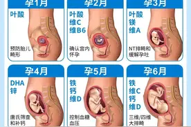怀孕每月注意事项图片