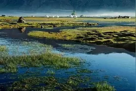 1935年红军刚出草地，喜获40万斤粮食和2000斤盐，发生了什么图片