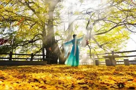 《神雕侠侣》故事梗概图片