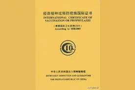 海员一年健康证/红黄本是什么？如何办理？多久出证？图片