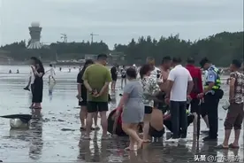 5名学生被卷入海中！2人获救3人失联图片