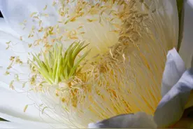 女人是否发自内心地爱你，早就藏在这些举动中图片