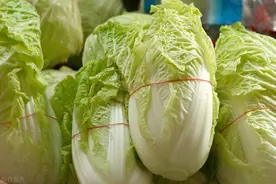 这10种蔬菜套种在一起不仅提高土壤利用率，还能增产图片