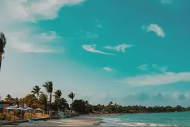 森系治愈女生网名 清纯干净网名女生图片