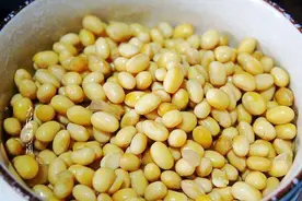 煮熟的黄豆能直接埋在土中当肥料吗？3大危害，4个改良措施图片