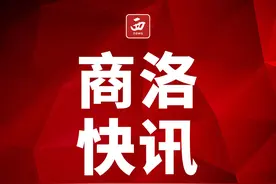 商洛市洛南县寺耳镇召开庆“七一”表彰大会图片