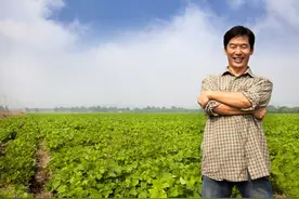 想做农民网红，你要先知道这些事图片