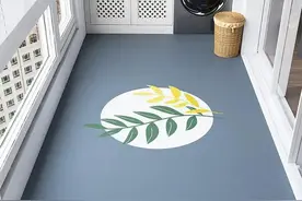 发现一户人家的阳台，设计太有才了，整洁美观省空间，太机智了图片