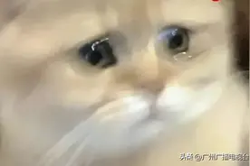 冲上热搜！广州平均月薪11710元，最赚钱的居然是…图片