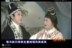 流派纷呈！群芳争艳！盘点那些年《十九位著名越剧演员唱腔集锦》图片