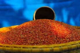 盐碱地产出的海水稻，稻米红如胭脂，口感难吃为何还要大量种植？图片