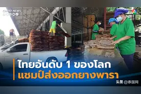 2022上半年泰国橡胶出口世界第一 中国进口最多图片