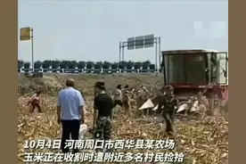 大反转？河南600余人哄抢玉米，村民曝内情：村委会强制流转土地图片