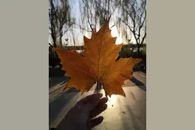 哪儿是天津话的根儿？天津人常说的这些词儿，老北京也明白图片