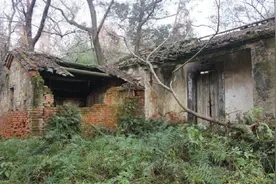 农村家庭一定要生儿子，没儿子的家庭，看房子成了老鼠窝就明白了图片