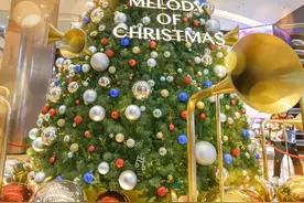 卷到飞起的魔都圣诞树们，再不去看就要等明年啦图片