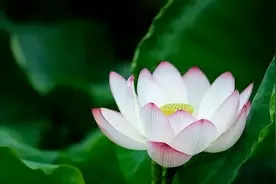 家中老人过世后，这三种苦，会落到子孙身上图片