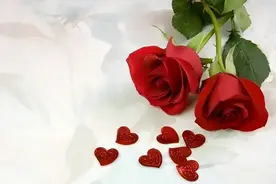 情人节，写给自己的情书！图片