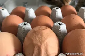 30张活久见的图片，长着类似静脉的鸡蛋，透明蛋居然是真实存在的图片