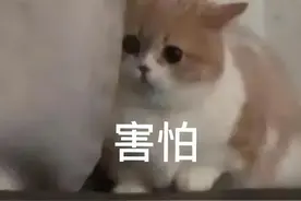 吓人！连发32起！阜阳这些地方都出现了图片