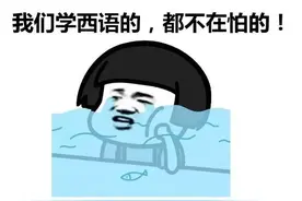 德语、法语、西班牙语，哪种比较好学？图片