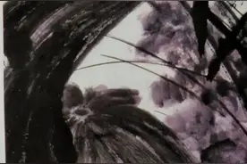 张大千赠画毛主席《荷花图》图片