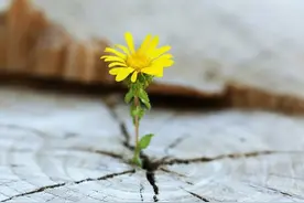 死后五十年，没人会记得我们图片