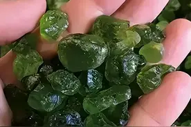 天津男子移居河南10年，为捡600多块蛟河橄榄石，专家：建议上交图片