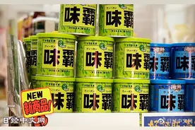 日本“味霸”用素食做出中餐高汤调料图片