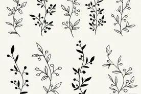 太实用了！100例花卉简笔画线稿图片