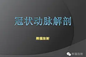 冠状动脉解剖详解图片