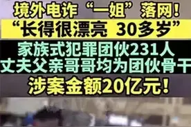 电诈20亿女魔头落网，全家齐参与，你赞成违规惩戒家属吗？图片