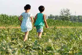 长篇乡土散文：《卖瓜》谨以此献给我的父亲！（河北曲阳杨亚军）图片