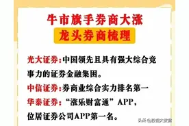 证券板块央国企和地方龙头梳理图片