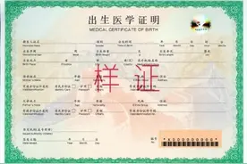 新版出生医学证明4月1日启用，长这样图片