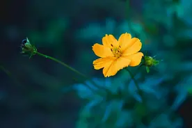 男人撩你和爱你，连发微信的方式都不一样图片