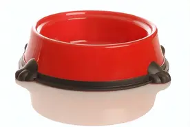 爱犬的“餐具”的4个禁忌绝对NG的选择方法和清洗方法是?图片