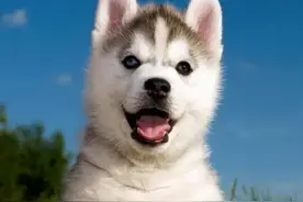 亚马逊不能碰的四个类目，你知道么？图片