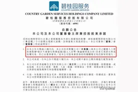 业主每睡一觉亏1250元！碧桂园疯狂降价，仍挡不住销售下滑图片