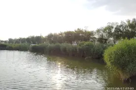 最令人扼腕叹息的十首诗词图片