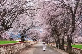 去西藏旅行，要这样穿搭，才能应对多变的天气！图片