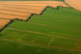 农村老话：“再穷不耕丈人田，再饿不进萝卜园”什么意思？图片