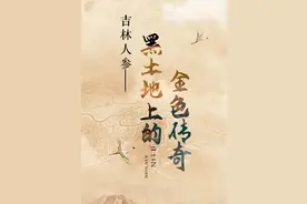 长图 | 吉林人参：黑土地上的金色传奇图片