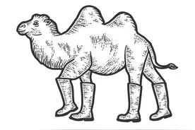 你是否有想过，有些直播间的商品为何会那么便宜？图片