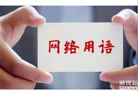 十大网络用语公布，记录时代的横切面图片