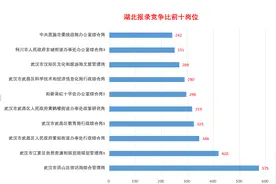 最新！2022年湖北省公务员竞争比前十岗位出炉图片