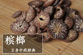 槟榔（驱虫药）图片