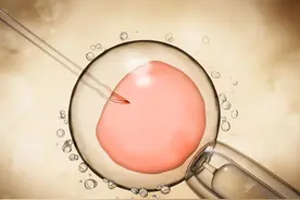 男性弱精，选择人授or试管？图片